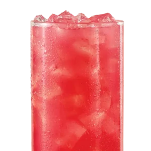 Blueberry Pomegranate Lemonade